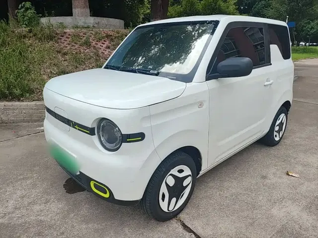 Geely Galaxy Panda 2025 Panda mini 210km Vitality Bear