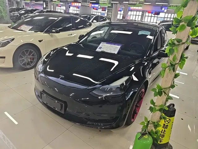 Tesla Model 3 2022 Model Rear-Wheel Drive Version
