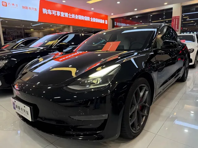 Tesla Model 3 2021 Performance High-Performance All-Wheel Drive