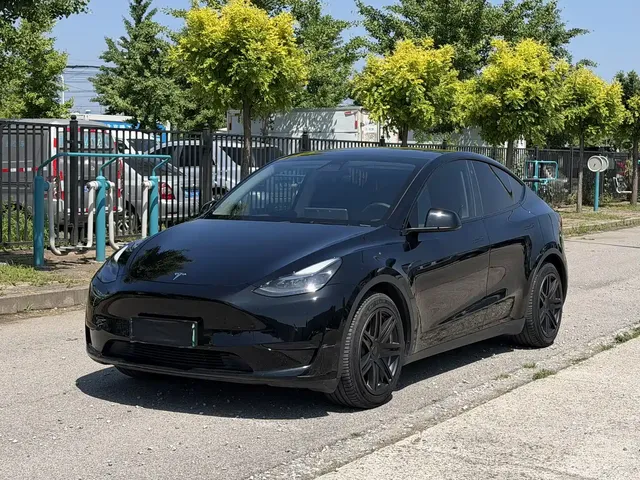 Tesla Model Y 2022 Rear-Wheel Drive Version