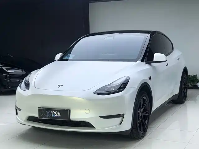 Tesla Model Y 2021 Standard Range Rear-Wheel Drive
