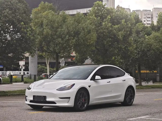 Tesla Model 3 2022 Model Rear-Wheel Drive Version