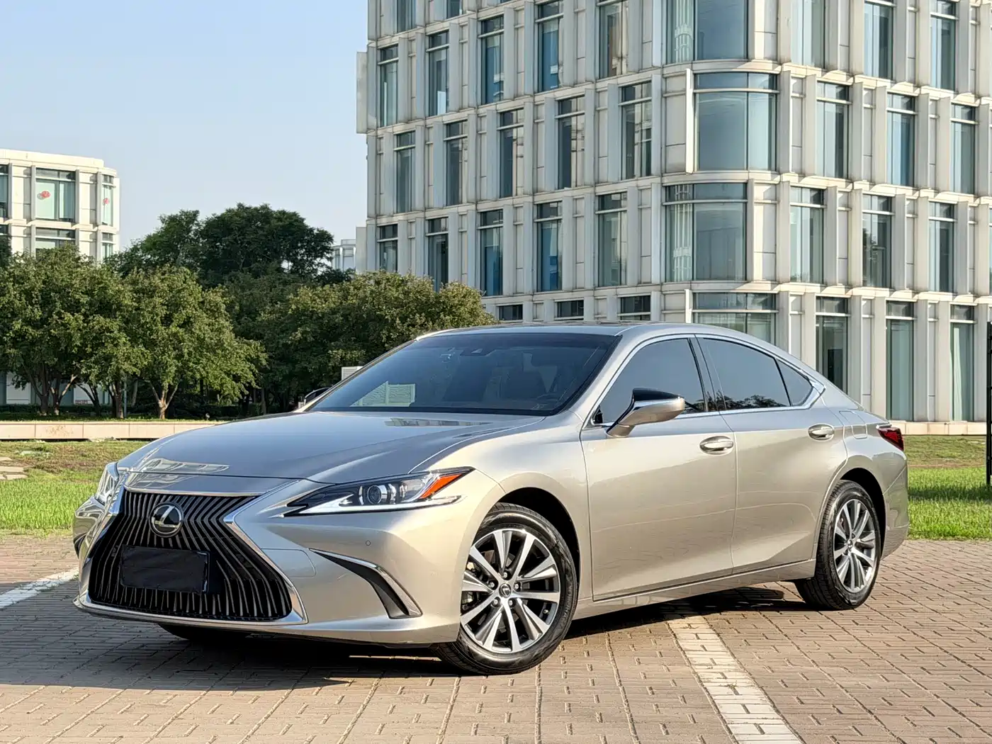 Lexus ES 2021 200 Excellence Edition