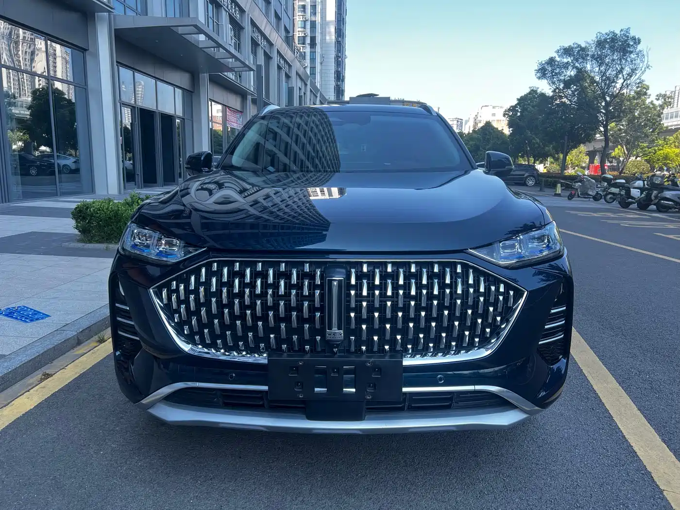 WEY Mocha 2021 2.0T 4WD Premium Edition