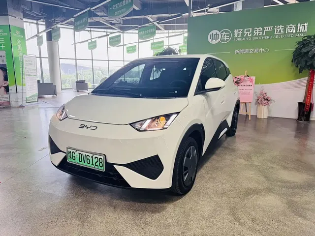 BYD Seagull 2025 Smart Drive Edition 305km Vitality Version