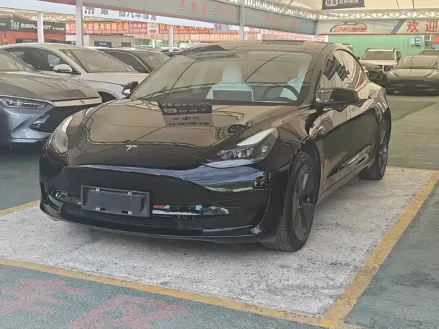 Tesla Model 3 2021 Standard Range Rear-Wheel Drive Upgrade