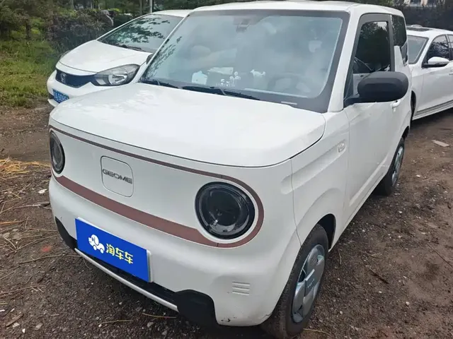 Geely Galaxy Panda 2024 Panda mini 200km Endurance Bear