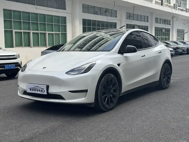 Tesla Model Y 2021 Standard Range Rear-Wheel Drive