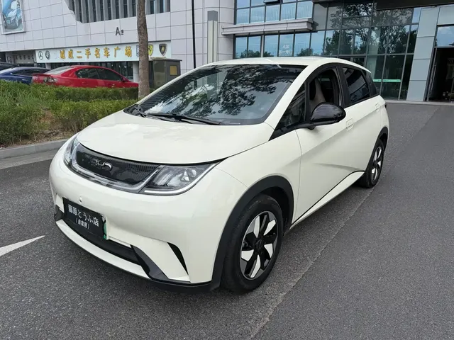 BYD Dolphin 2025 420km Freedom Edition