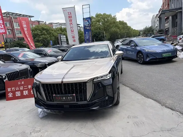Hongqi H9 2024 2.0T Qi Enjoy Private Fashion Edition