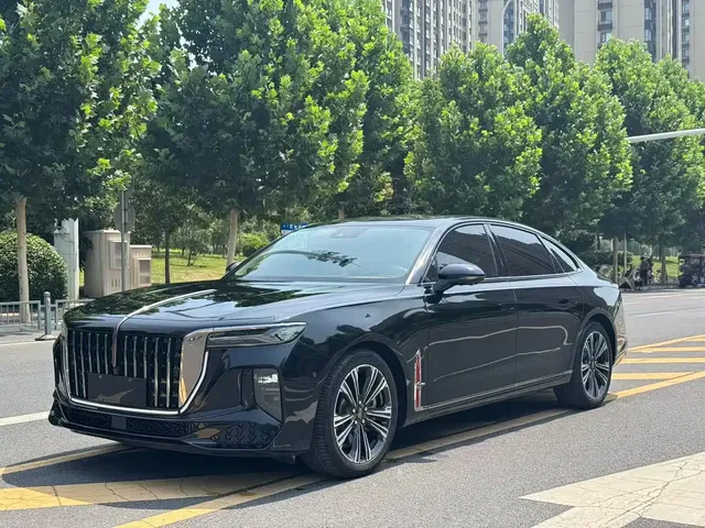 Hongqi H9 2024 2.0T Qi Chang Private Fashion Edition