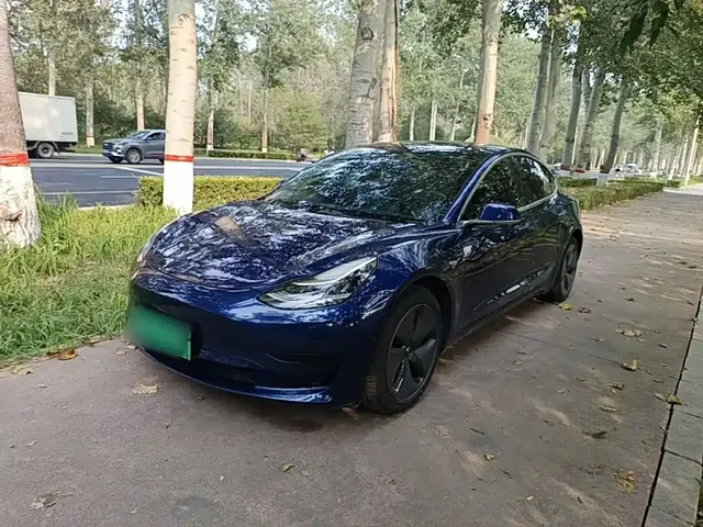 Tesla Model 3 (Import) 2019 Standard Range RWD Upgraded Edition