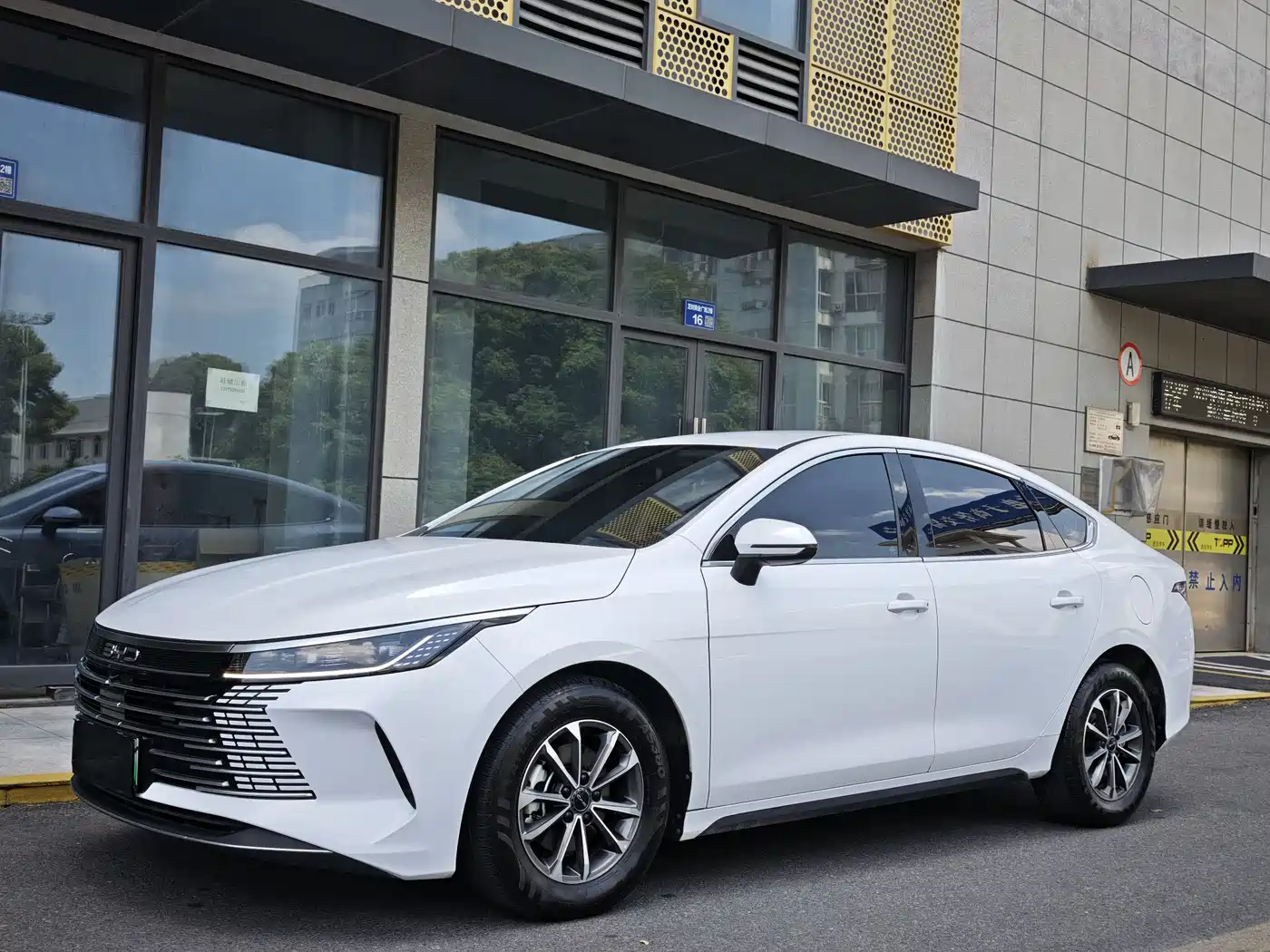 BYD Destroyer 05 2023 Champion Edition DM-i 55KM Luxury