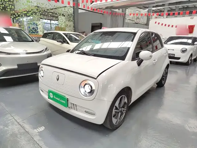 Ora Black Cat 2021 351km Luxury Model