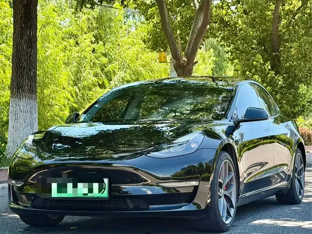 Tesla Model 3 2022 Performance High-Performance AWD
