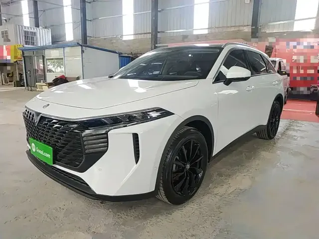 Venucia Big V 2021 260T King Edition