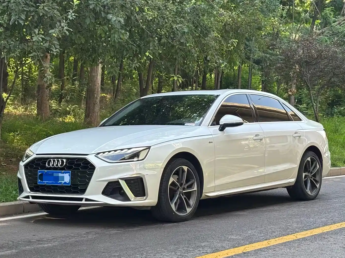 Audi A4L 2021 40 TFSI Premium Life Edition