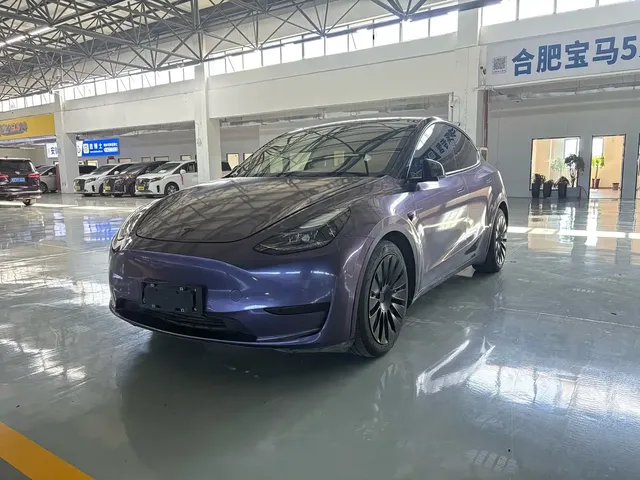 Tesla Model Y 2022 Rear-Wheel Drive Version