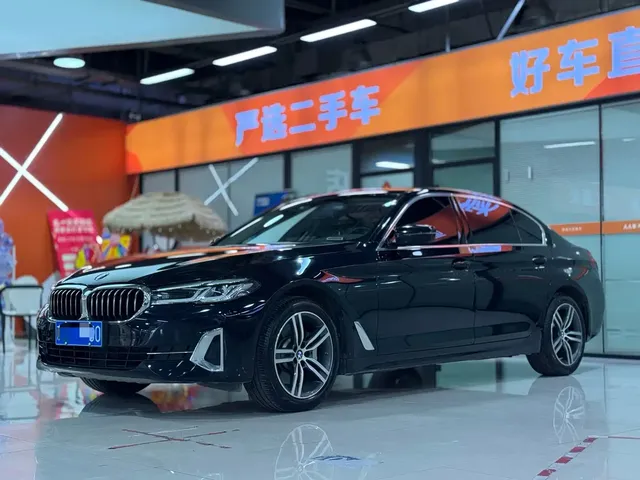 BMW 5 Series 2021 530Li Leading Luxury Package