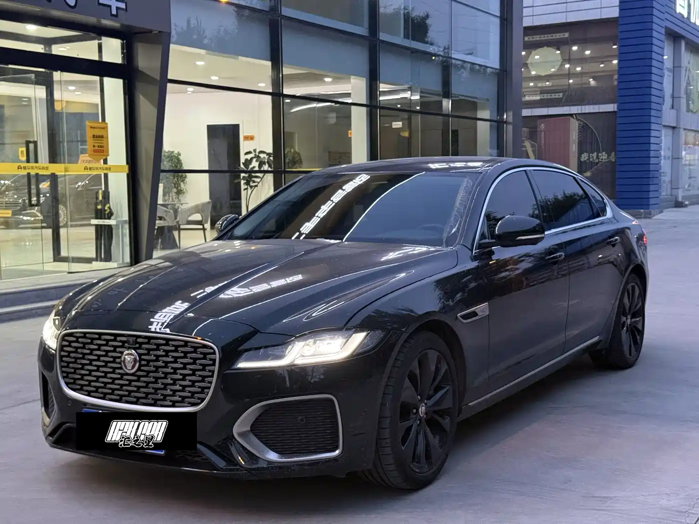 Jaguar XFL 2024 2.0T P250 2WD Premium Luxury