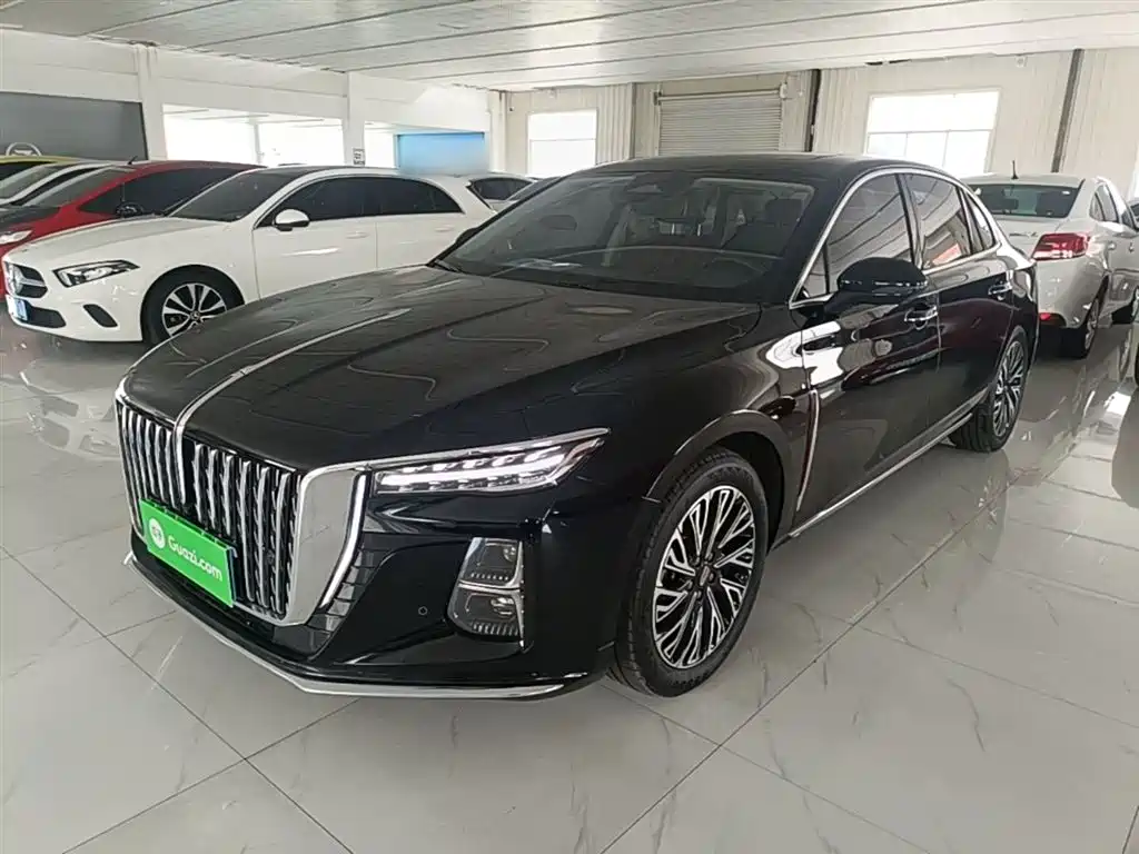 Hongqi H5 2024 2.0T Automatic Smart Connect Flag Smooth Edition