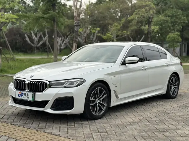 BMW 5 Series New Energy 2022 Facelift 535Le Luxury Package