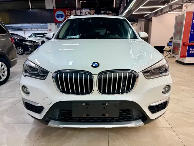 BMW X1 2019 xDrive20Li Premium Model