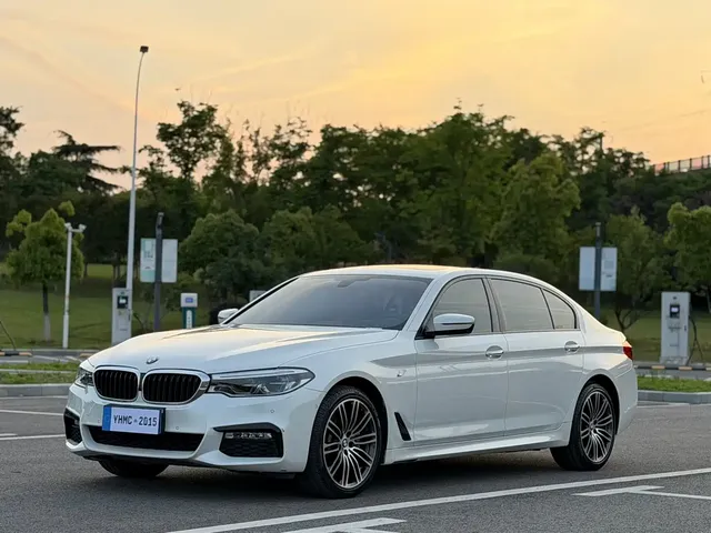BMW 5 Series 2018 530Li Premium M Sport Package
