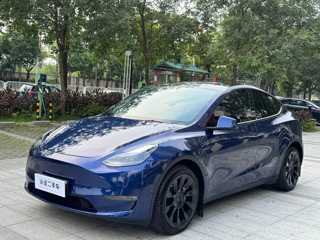 Tesla Model Y 2021 Long Range All-Wheel Drive 3D7