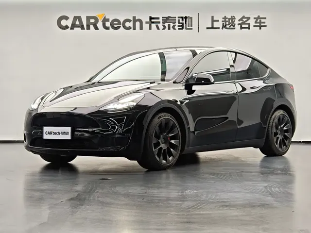Tesla Model Y 2022 Rear-Wheel Drive Version