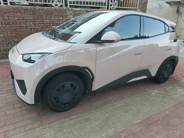 BYD Seagull 2025 Smart Drive Edition 305km Vitality Version