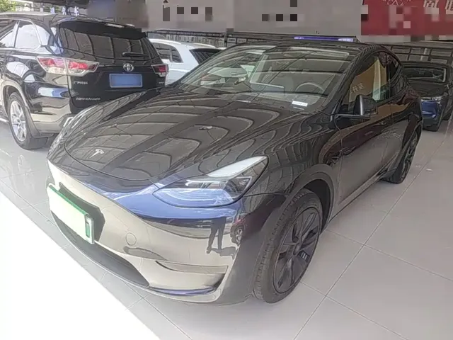Tesla Model Y 2024 Rear-Wheel Drive Version