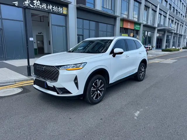 Haval H6 2022 3rd Gen 1.5T Auto 2WD Pro