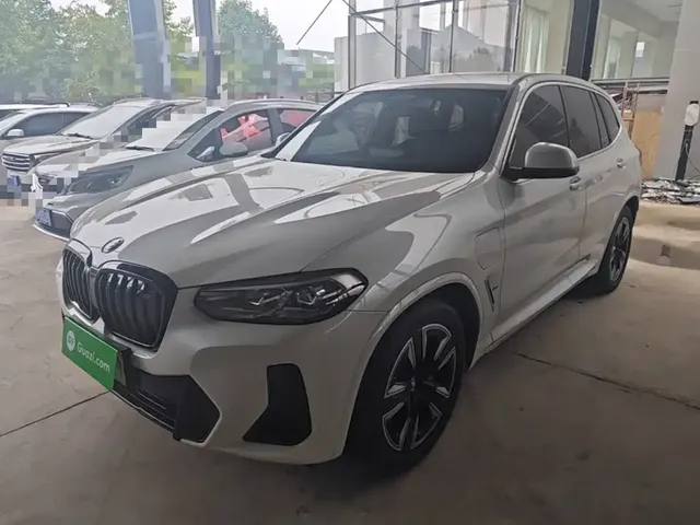 BMW iX3 2023 Leading Type