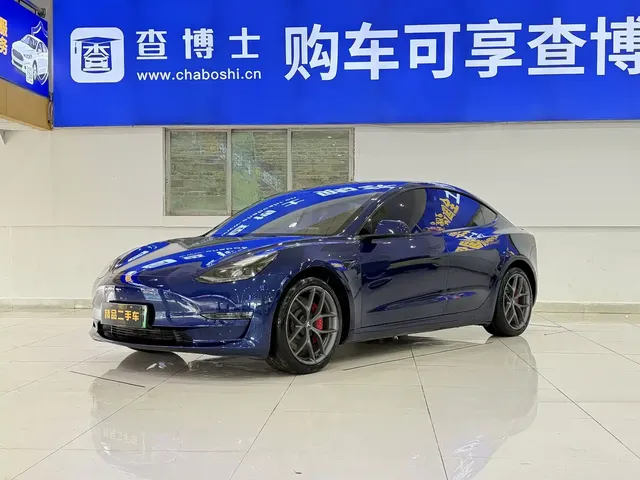 Tesla Model 3 2021 Performance High-Performance All-Wheel Drive
