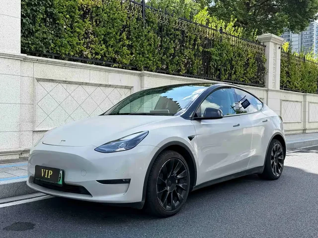 Tesla Model Y 2021 Standard Range Rear-Wheel Drive