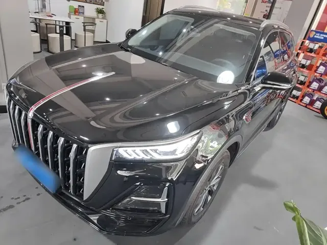 Hongqi HS5 2025 2.0T 2WD 600,000 Units Commemorative Edition
