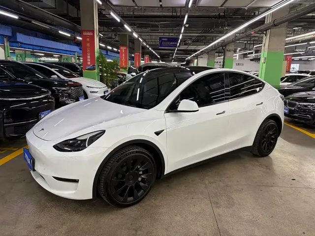 Tesla Model Y 2021 Long Range All-Wheel Drive 3D7