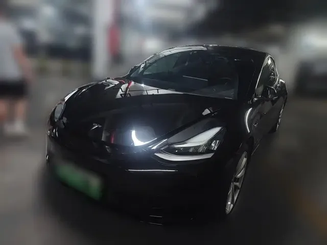 Tesla Model 3 2020 Standard Range Rear-Wheel Drive Upgrade