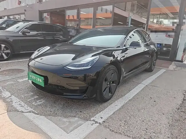 Tesla Model 3 2020 Facelift Standard Range RWD Upgrade