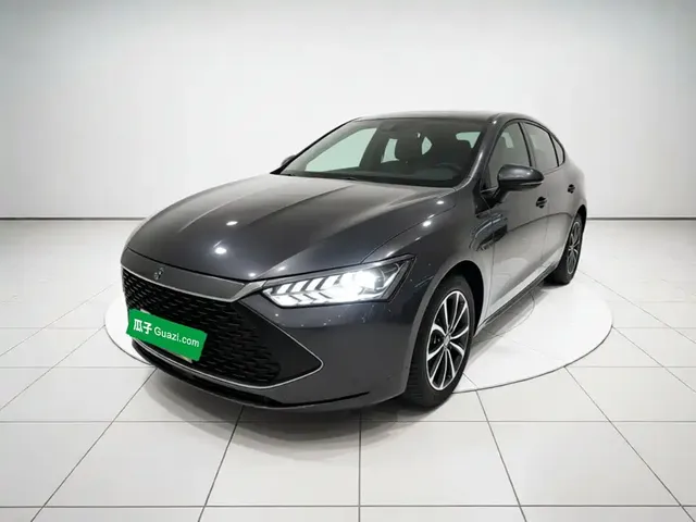 BYD Qin PLUS 2024 Glory Edition DM-i 55KM Leading