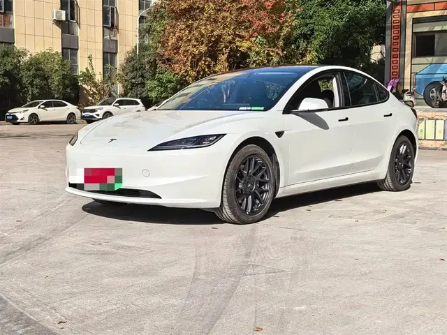 Tesla Model 3 2025 Model Rear-Wheel Drive Edition