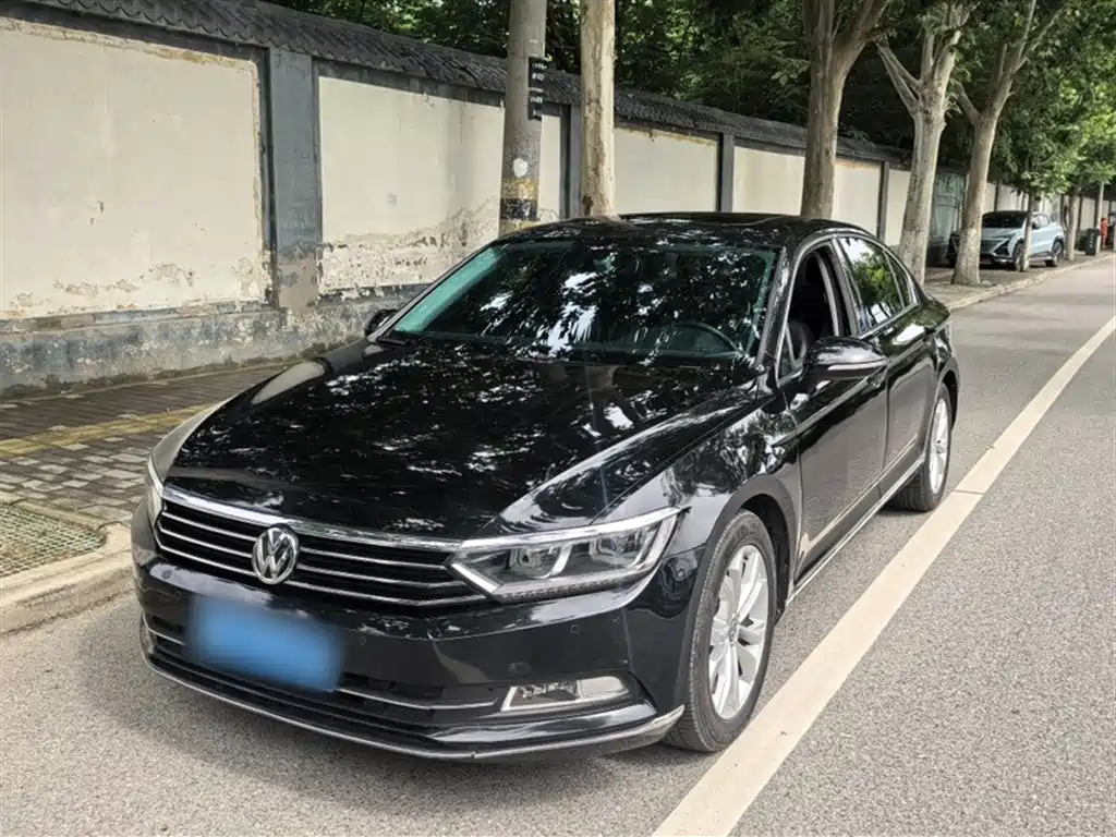 Volkswagen Magotan 2019 330TSI DSG Luxury Class China VI