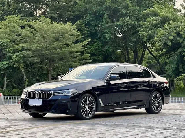 BMW 5 Series 2021 530Li Leading M Sport Package