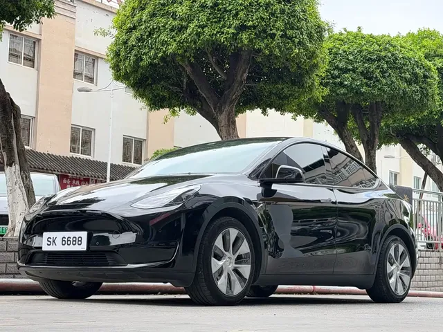Tesla Model Y 2022 Rear-Wheel Drive Version