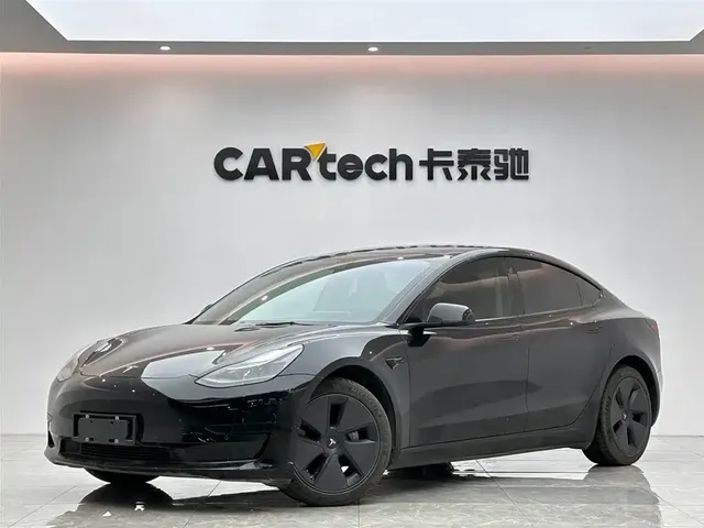 Tesla Model 3 2021 Facelift Standard Range RWD Upgrade 3D1