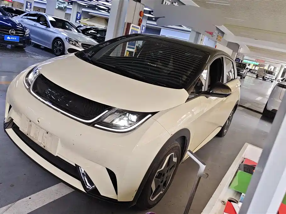 BYD Dolphin 2021 405km Freedom Edition
