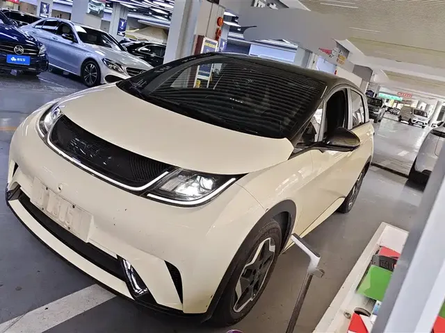 BYD Dolphin 2021 405km Freedom Edition