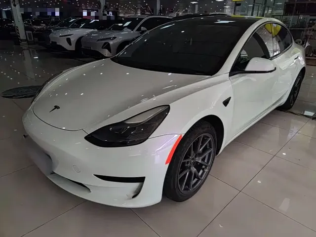 Tesla Model 3 2022 Model Rear-Wheel Drive Version