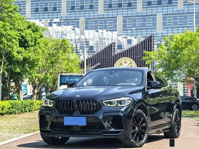 BMW X6 2020 xDrive40i M Sport Package